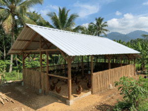 atap kandang ayam upvc