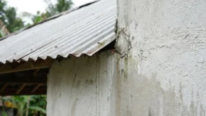 pertemuan atap dan dinding